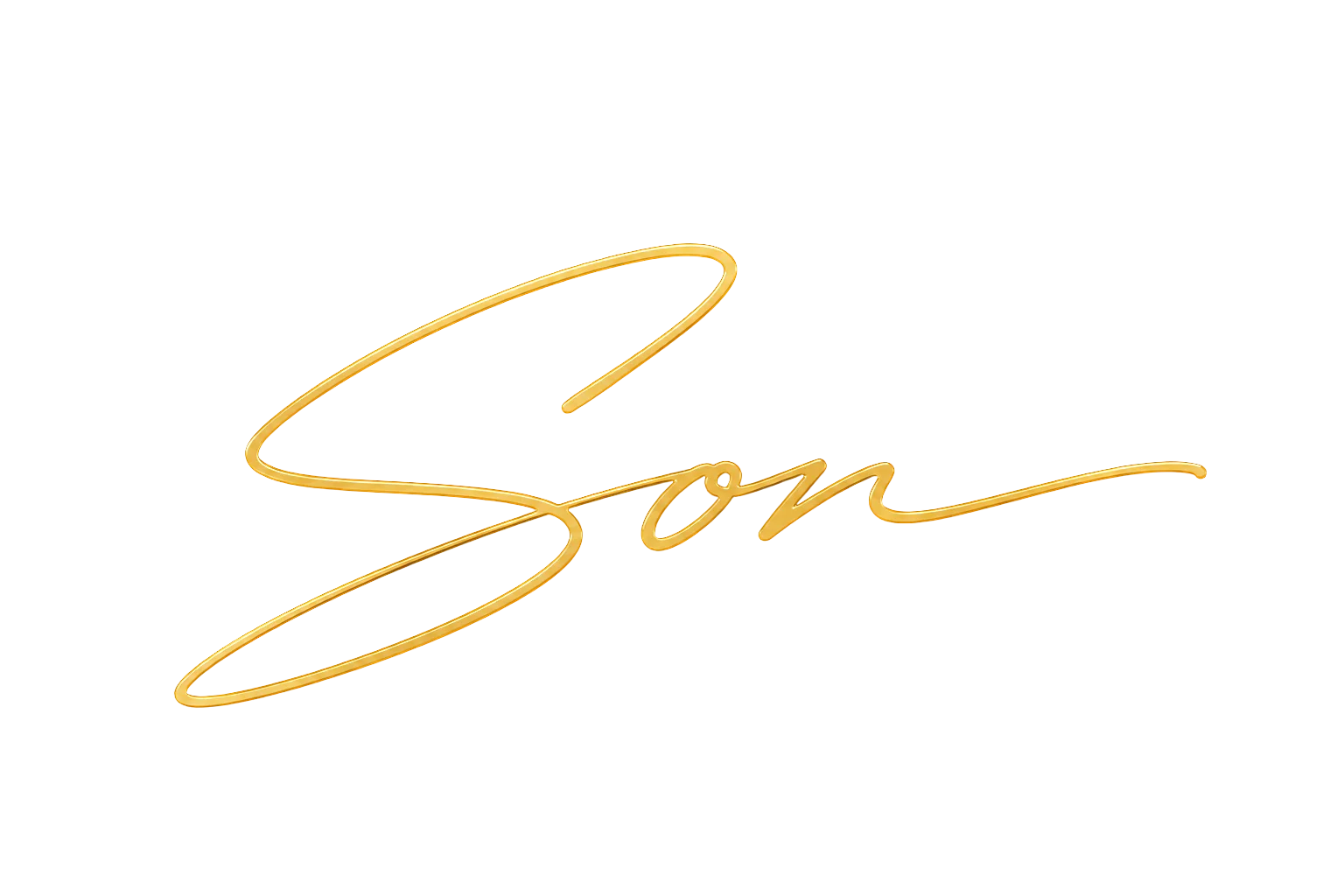 Signature of Trịnh Hoành Sơn | Chữ ký Trịnh Hoành Sơn
